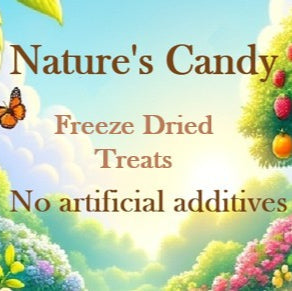 Freeze Dried Treats